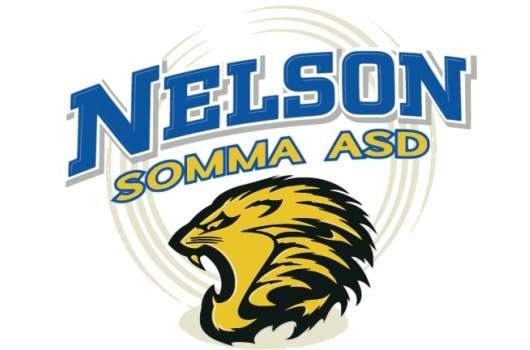 Logo Nelson Basket